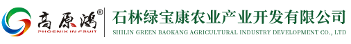 高原鸿苹果|石林绿宝康农业产业开发有限公司